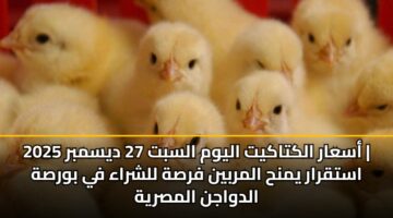 asaar alktakyt alywm alsbt 27 dysmbr 2025 astqrar ymnh almrbyn frsh llshraa fy bwrsh aldwajn almsryh 1