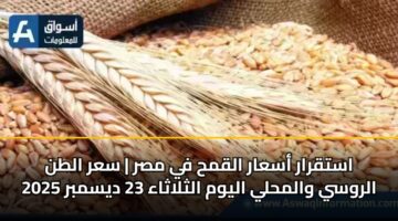 astqrar asaar alqmh fy msr sar altn alrwsy walmhly alywm althlathaa 23 dysmbr 2025