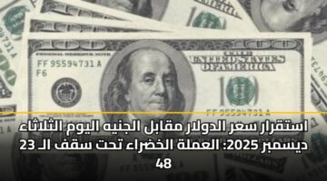 astqrar sar aldwlar mqabl aljnyh alywm althlathaa 23 dysmbr 2025 alamlh alkhdraa tht sqf al 48 3