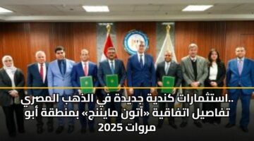 astthmarat kndyh jdydh fy aldhhb almsry. tfasyl atfaqyh aatwn maynnj bmntqh abw mrwat 2025