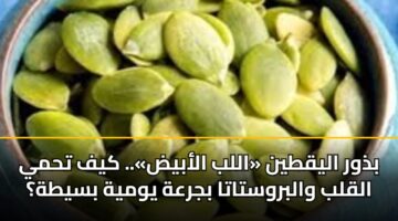 bdhwr alyqtyn allb alabyd. kyf thmy alqlb walbrwstata bjrah ywmyh bsyth