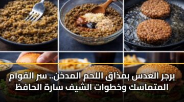 brjr alads bmdhaq allhm almdkhn. sr alqwam almtmask wkhtwat alshyf sarh alhafz