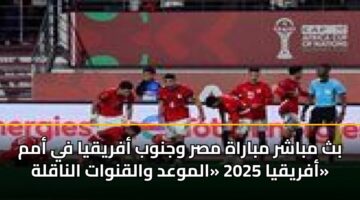 bth mbashr mbarah msr wjnwb afryqya fy amm afryqya 2025 almwad walqnwat alnaqlh