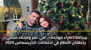 byjamh khdraa mwhdh. my amr wmhmd samy ykhtfan alanzar fy ahtfalat alkrysmas 2025