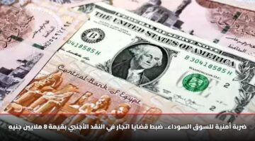 drbh amnyh llswq alswdaa dbt qdaya atjar fy alnqd alajnby bqymh 8 mlayyn jnyh