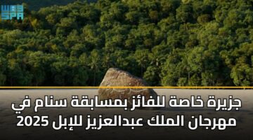 jzyrh khash llfaz bmsabqh snam fy mhrjan almlk abdalazyz llibl 2025 3