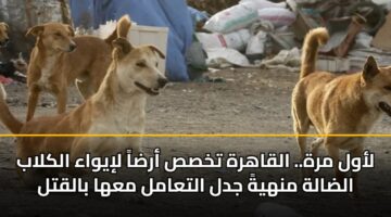 lawl mrh. alqahrh tkhss arda liywaa alklab aldalh mnhyh jdl altaaml maha balqtl