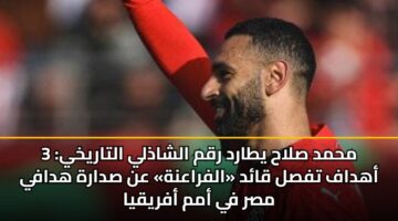 mhmd slah ytard rqm alshadhly altarykhy 3 ahdaf tfsl qad alfraanh an sdarh hdafy msr fy amm afryqya