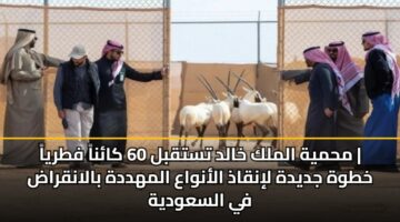 mhmyh almlk khald tstqbl 60 kana ftrya khtwh jdydh linqadh alanwaa almhddh balanqrad fy alsawdyh