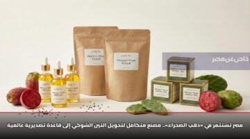 msr tstthmr fy dhhb alshraa msna mtkaml lthwyl altyn alshwky ila qaadh tsdyryh aalmyh 2