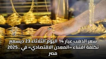 sar aldhhb ayar 14 alywm althlathaa 23 dysmbr 2025. tklfh aqtnaa almadn alaqtsady fy msr