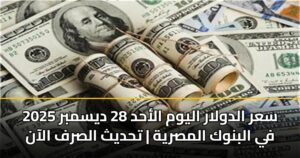 سعر الدولار اليوم الأحد 28 ديسمبر 2025 في البنوك المصرية | تحديث الصرف الآن