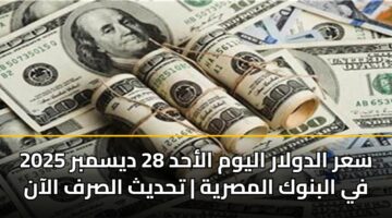 sar aldwlar alywm alahd 28 dysmbr 2025 fy albnwk almsryh thdyth alsrf alaan 3
