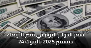 سعر الدولار اليوم في مصر الأربعاء 24 ديسمبر 2025 بالبنوك