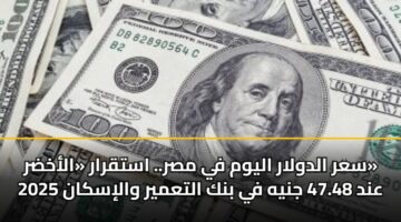 sar aldwlar alywm fy msr. astqrar alakhdr and 47.48 jnyh fy bnk altamyr waliskan 2025 1