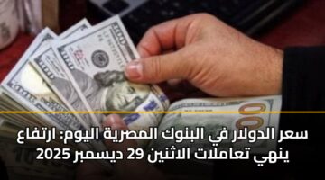 sar aldwlar fy albnwk almsryh alywm artfaa ynhy taamlat alathnyn 29 dysmbr 2025 3