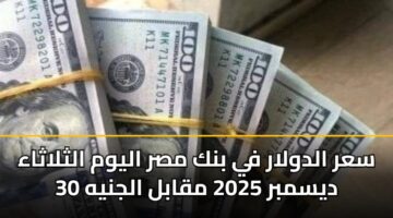 sar aldwlar fy bnk msr alywm althlathaa 30 dysmbr 2025 mqabl aljnyh 3