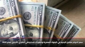 sar aldwlar mqabl aljnyh fy albnwk almsryh wttwrat alahtyaty alnqdy alajnby laam 2025 2