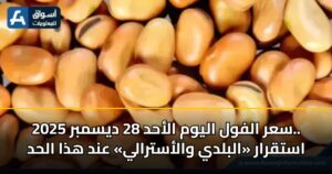 سعر الفول اليوم الأحد 28 ديسمبر 2025.. استقرار «البلدي والأسترالي» عند هذا الحد