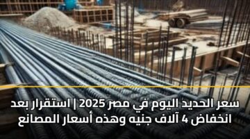sar alhdyd alywm fy msr 2025 astqrar bad ankhfad 4 aalaf jnyh whdhh asaar almsana