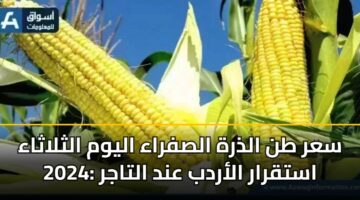sar tn aldhrh alsfraa alywm althlathaa 2024 astqrar alardb and altajr