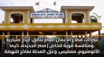 shrkat qtaa alaamal alaam ttalq arbah mlyaryh wmnafsh qwyh llkhas msr aljdydh kyma alalwmnywm mmfys wghzl almhlh nmadhj llnhdh bkfaaat msryh 3