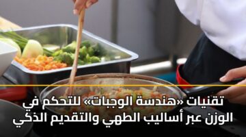tqnyat hndsh alwjbat llthkm fy alwzn abr asalyb althy waltqdym aldhky