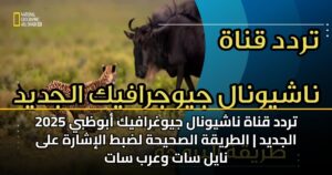 تردد قناة ناشيونال جيوغرافيك أبوظبي 2025 الجديد | الطريقة الصحيحة لضبط الإشارة على نايل سات وعرب سات