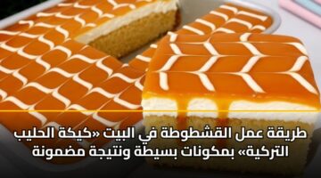 tryqh aml alqshtwth fy albyt kykh alhlyb altrkyh bmkwnat bsyth wntyjh mdmwnh