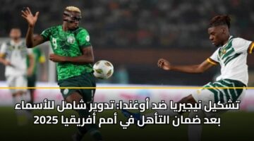 tshkyl nyjyrya dd awghnda tdwyr shaml llasmaa bad dman altahl fy amm afryqya 2025 4