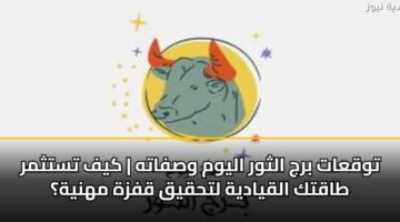 twqaat brj althwr alywm wsfath kyf tstthmr taqtk alqyadyh lthqyq qfzh mhnyh
