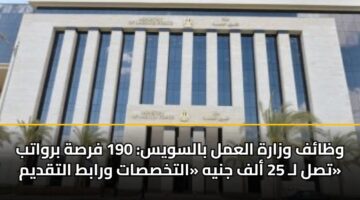 wzaf wzarh alaml balswys 190 frsh brwatb tsl l 25 alf jnyh altkhssat wrabt altqdym