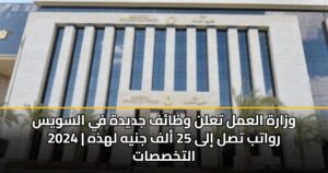وزارة العمل تعلن وظائف جديدة في السويس 2024 | رواتب تصل إلى 25 ألف جنيه لهذه التخصصات
