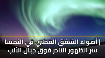 adwaa alshfq alqtby fy alnmsa sr alzhwr alnadr fwq jbal alalb
