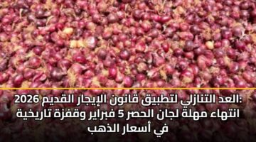 alad altnazly lttbyq qanwn aliyjar alqdym 2026 anthaa mhlh ljan alhsr 5 fbrayr wqfzh tarykhyh fy asaar aldhhb 3