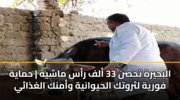 albhyrh thsn 33 alf ras mashyh hmayh fwryh lthrwtk alhywanyh wamnk alghdhay