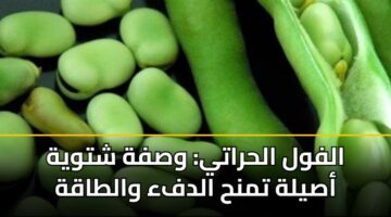 alfwl alhraty wsfh shtwyh asylh tmnh aldfa waltaqh 3
