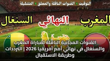 alqnwat almjanyh alnaqlh lmbarah almghrb walsnghal fy nhay amm afryqya 2026 altrddat wtryqh alastqbal 3