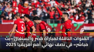 alqnwat alnaqlh lmbarah msr walsnghal bth mbashr fy nsf nhay amm afryqya 2025