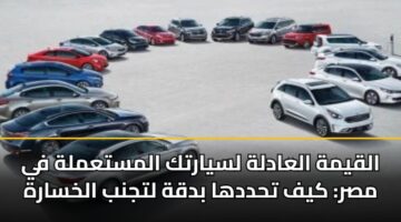 alqymh alaadlh lsyartk almstamlh fy msr kyf thddha bdqh ltjnb alkhsarh 3