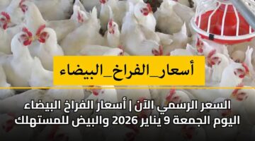 alsar alrsmy alaan asaar alfrakh albydaa alywm aljmah 9 ynayr 2026 walbyd llmsthlk 3