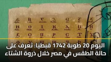 alywm 20 twbh 1742 qbtya tarf ala halh altqs fy msr khlal dhrwh alshtaa 3
