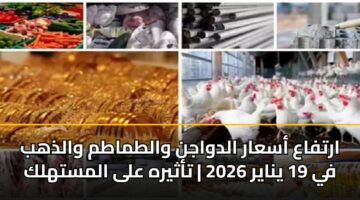 artfaa asaar aldwajn waltmatm waldhhb fy 19 ynayr 2026 tathyrh ala almsthlk 2