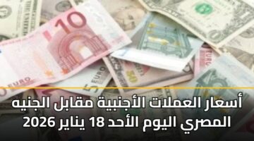 asaar alamlat alajnbyh mqabl aljnyh almsry alywm alahd 18 ynayr 2026
