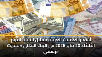 asaar alamlat alarbyh mqabl aljnyh alywm althlathaa 20 ynayr 2026 fy albnk alahly thdyth rsmy 2