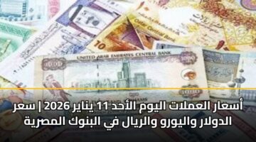 asaar alamlat alywm alahd 11 ynayr 2026 sar aldwlar walywrw walryal fy albnwk almsryh 1
