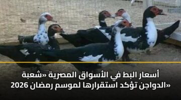asaar albt fy alaswaq almsryh shabh aldwajn tkd astqrarha lmwsm rmdan 2026
