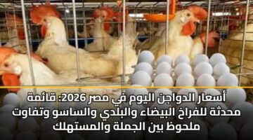 asaar aldwajn alywm fy msr 2026 qamh mhdthh llfrakh albydaa walbldy walsasw wtfawt mlhwz byn aljmlh walmsthlk 1