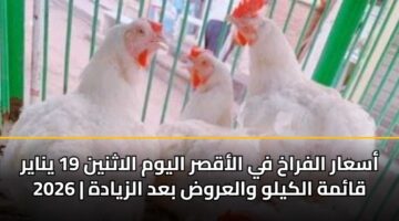 asaar alfrakh fy alaqsr alywm alathnyn 19 ynayr 2026 qamh alkylw walarwd bad alzyadh