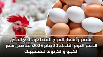 astqrar asaar alfrakh albydaa wtraja albyd alahmr alywm althlathaa 20 ynayr 2026 tfasyl sar alkylw walkrtwnh llmsthlk